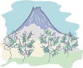 富士山