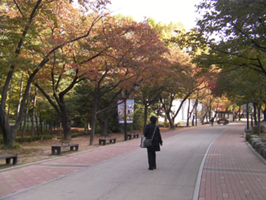 ロケハン日記 偶然空いてしまった時間を近くの大きな公園「オリニ大公園」で過ごす。紅葉が綺麗だ。
中央で背を向けているのは制作豊田。